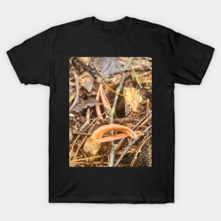 Devil's Fingers T-Shirt